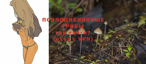 первитин Богородск