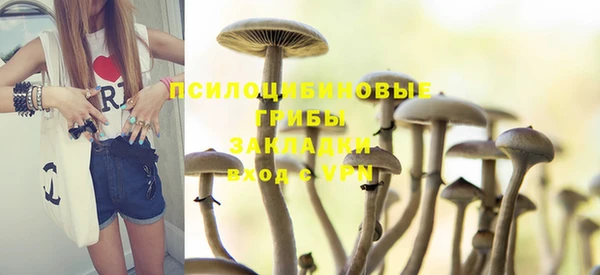 мдма Богданович