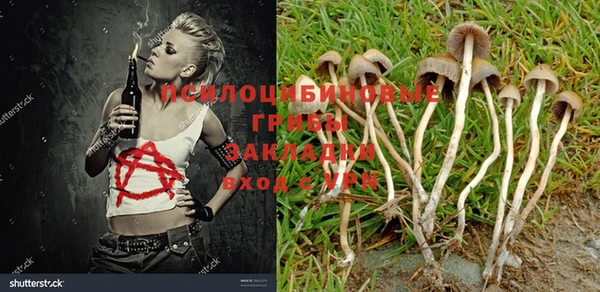мдма Богданович