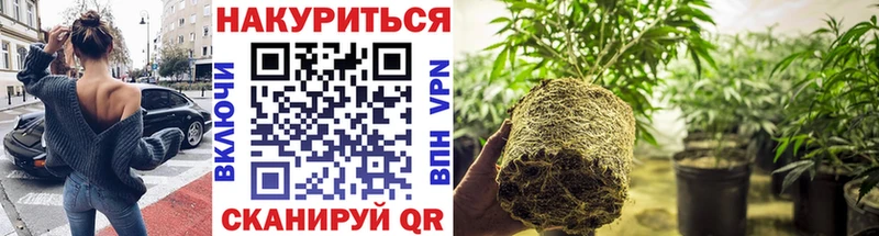 kraken сайт  Когалым  Конопля сатива  наркота 